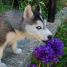 Fotografia użytkownika