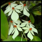 Fotografia użytkownika