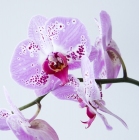 Fotografia użytkownika