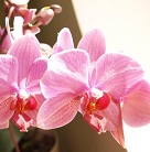 Fotografia użytkownika