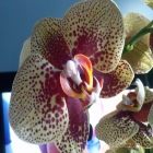 Fotografia użytkownika