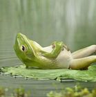 Fotografia użytkownika