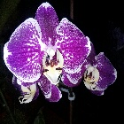 Fotografia użytkownika