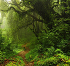 Fotografia użytkownika