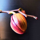 Fotografia użytkownika