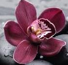 Fotografia użytkownika