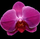 Fotografia użytkownika