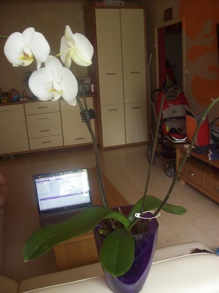 100_3470.JPG