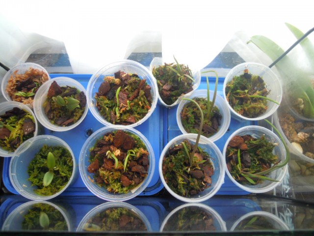 DSCN4112.JPG