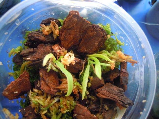 DSCN4122.JPG