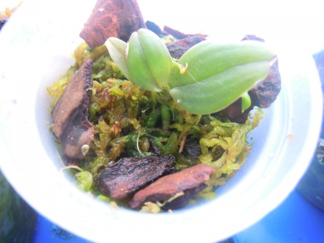DSCN4118.JPG