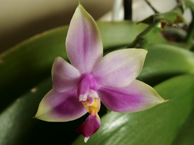 019 (2).jpg bis (640x479).jpg