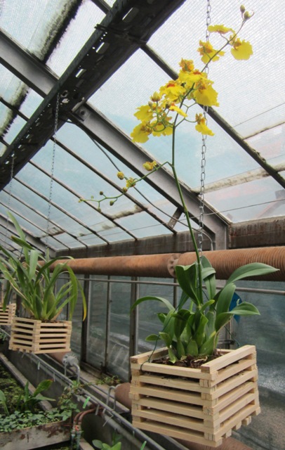 IMG_0214 Jemu tam jest dobrze.jpg