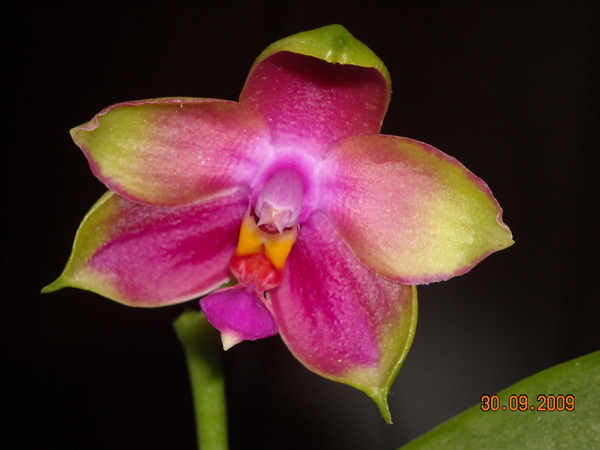 DSCN2366.jpg