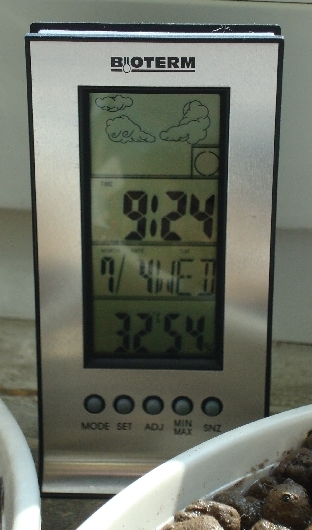 image3.jpg