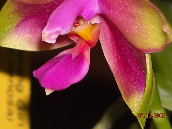 DSCN2415.jpg