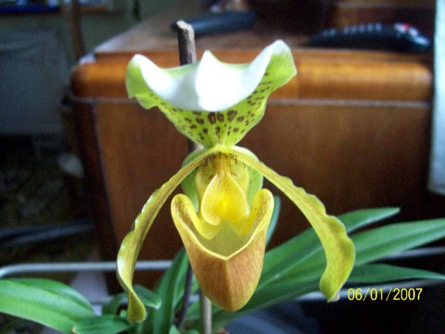 Smiech to zdrowie.jpg