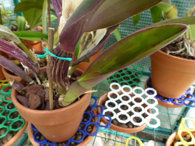 Lipiec 2012.JPG (389.18 KiB) Przeglądane 8436 razy Lipiec 2012.JPG