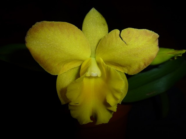 P1020140 - Kopia.JPG