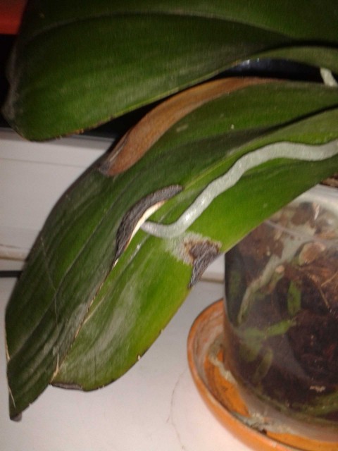 2013-02-13 19.23.49.jpg