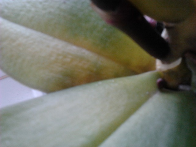 2013-02-18 11.50.22.jpg