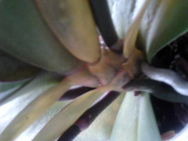 2013-02-18 11.50.10.jpg