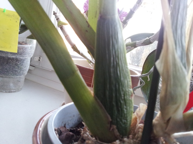 2013-03-16 17.13.09-1.jpg