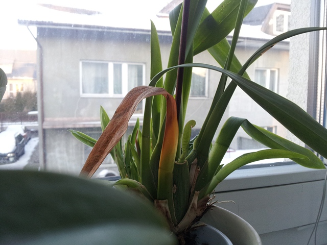 2013-03-16 17.13.34-1.jpg