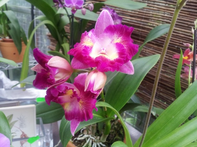 2012-07-21 17.50.43-1.jpg