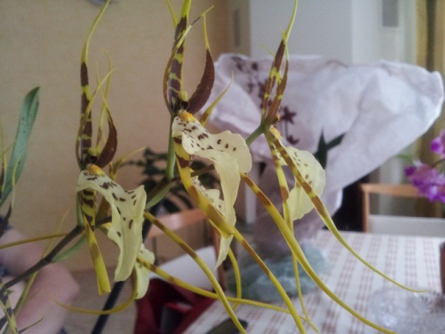 2012-07-22 13.44.07-1.jpg