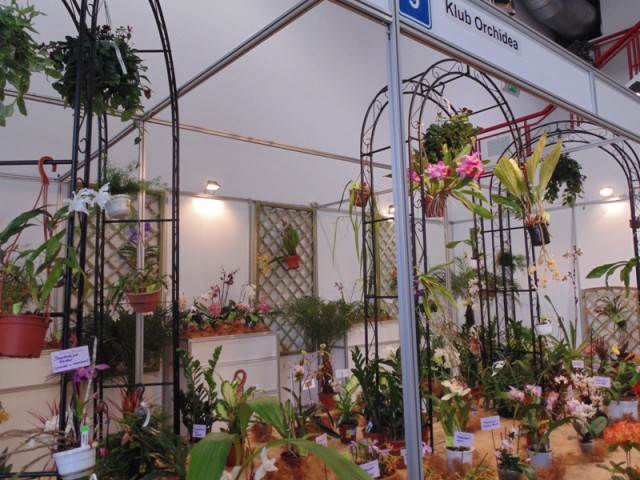 Kraków 27.04.2013 091.jpg