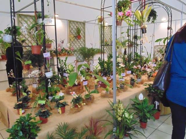 Kraków 27.04.2013 089.jpg