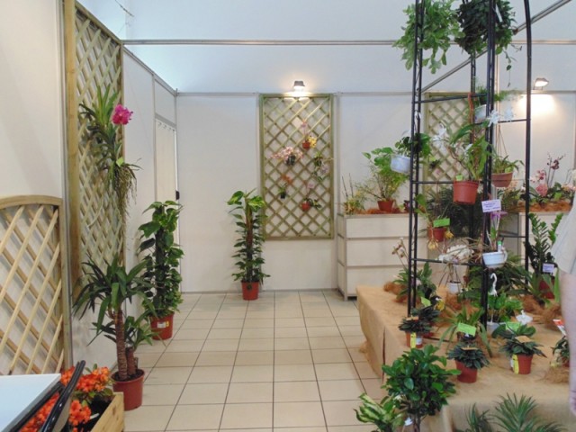 Kraków 27.04.2013 088.jpg