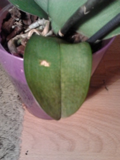 2013-05-23 17.46.33.jpg