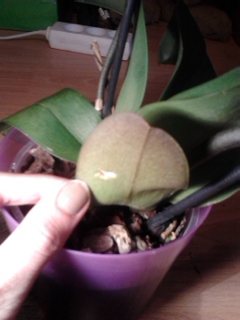 2013-05-23 17.46.49.jpg