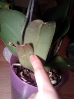 2013-05-23 17.48.32.jpg