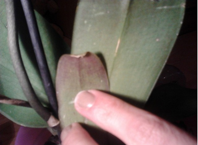 2013-05-23 17.58.32.jpg