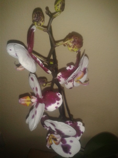 2013-06-05 14.30.17.jpg