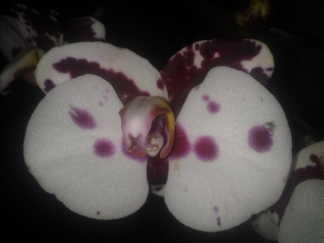 2013-06-05 14.49.01.jpg