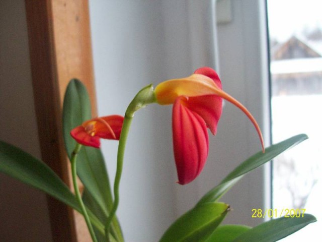 super zdjęcie z boku.jpg