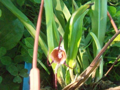 obrazki 032_zmniejszacz-pl_770081.jpg