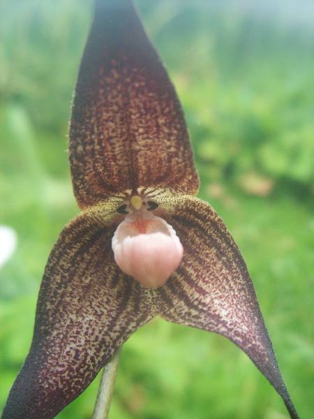 najlepsze zbliżenie.jpg