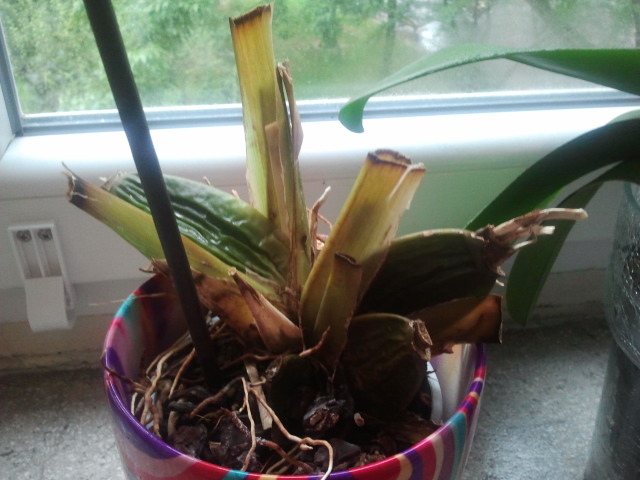 2013-09-16 17.11.58.jpg