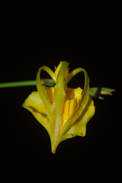 DSC_8226 (800x536).jpg