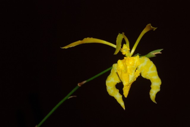 DSC_8259 (800x536).jpg