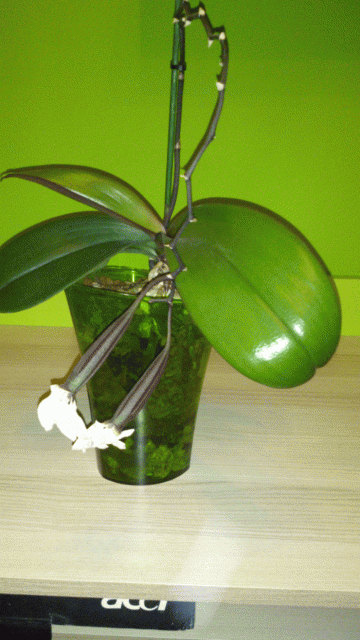 2013-11-29 23.52.53.gif