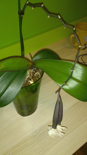 2013-11-29 23.53.43.gif