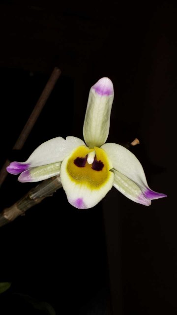 1390081692078 (1).jpg