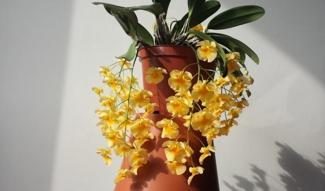 20140222_112852.jpg