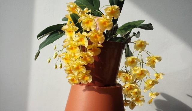 20140222_112920.jpg